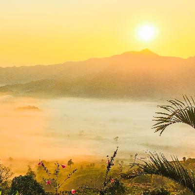 Do'a dan Dzikir Pagi + Terjemahan