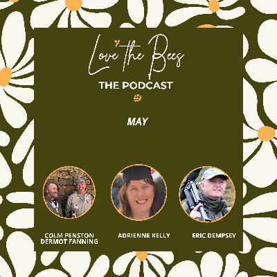May Episode of Love The Bees
