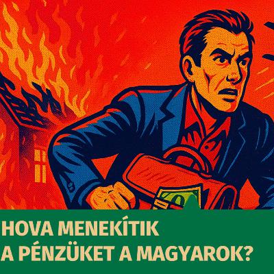 Hova menekítik a pénzüket a magyarok?