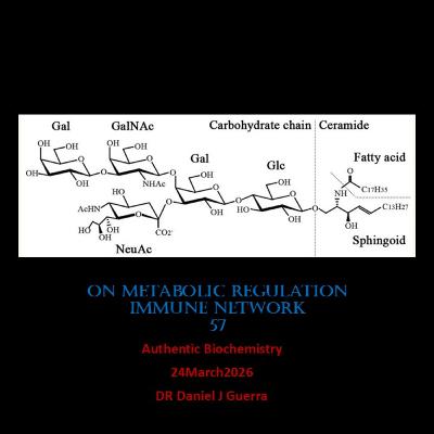 On Metabolic RegulationImmune Network57.Authentic Biochemistry 24March2026 DR Daniel J Guerra On Metabolic RegulationImmune Network57.Authentic Biochemistry 24March2026 DR Daniel J Guerra