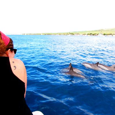 #4667 Bleu Collar #4667 Bleu Collar