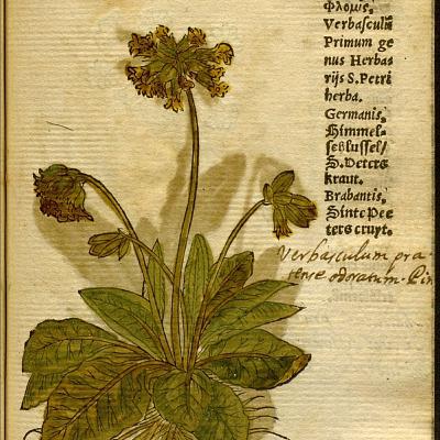 Lente: Historische Heerlijkheden