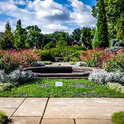 Reign - Nagalisitu - Agents of ALIS - Part 35