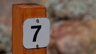 Emociones refinadas vs. expresiones controladas Emociones refinadas vs. expresiones controladas