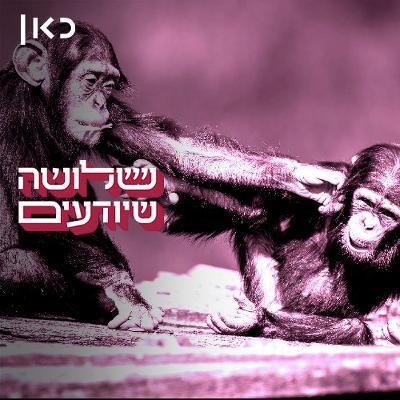 אחי שלי הקט, הקשב