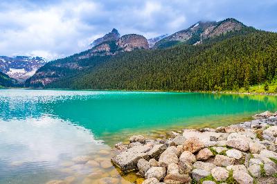 Environmental impacts of conventional burial and cremation practices: an interview with Lee Webster Environmental impacts of conventional burial and cremation practices: an interview with Lee Webster