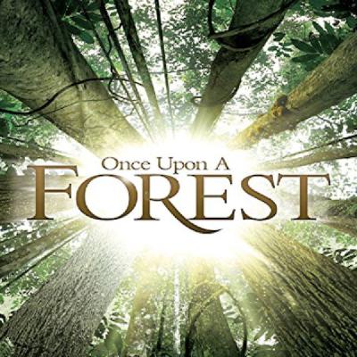 Ep.14 - 森林的传奇和精灵：Once Upon A Forest (2013) 从前有座森林