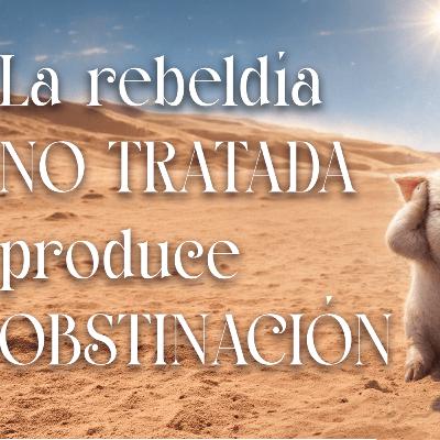 La rebeldia no tratada produce obstinación | Conectados con Dios La rebeldia no tratada produce obstinación | Conectados con Dios