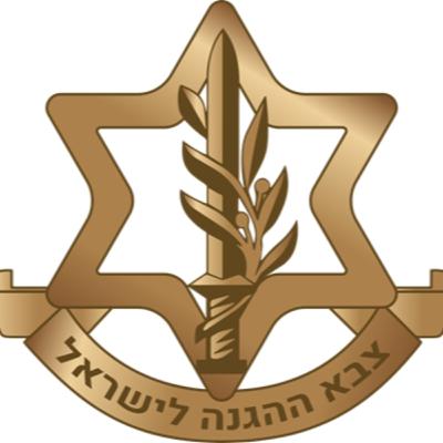 Tsahal, gloire et névrose d'Israël