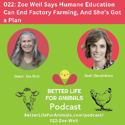 022: Zoe Weil Says Humane Education Can End Factory Farming, And She’s Got a Plan