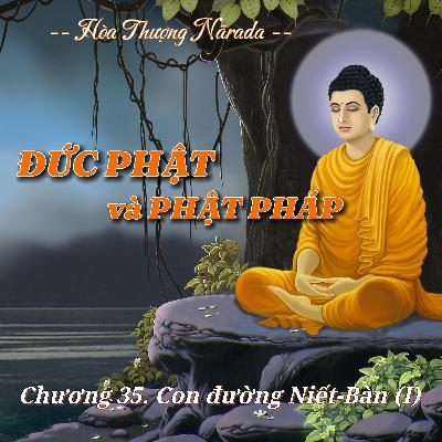 Đức Phật và Phật Pháp | Chương 35. Con đường Níp-Bàn (Niết-Bàn) (I) - Hòa Thượng Nārada