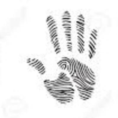 Medio día, día 5, audio 8. Voy desde....hacia