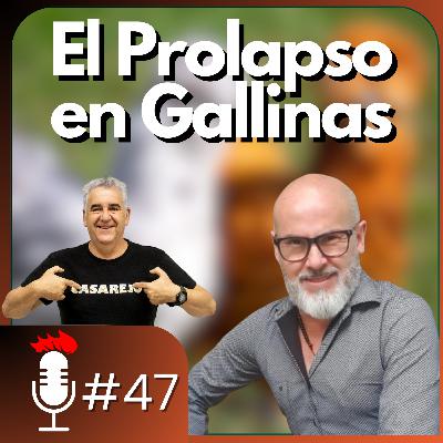 🎙️ El problema del PROLAPSO en las GALLINAS | Podcast #47 con Ronald Barquero