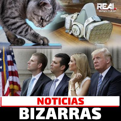 Las Noticias Más Bizarras de hoy Diciembre 2, 2020 Las Noticias Más Bizarras de hoy Diciembre 2, 2020