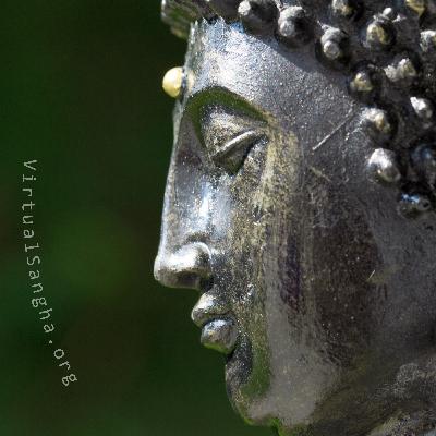 The Purpose of Precepts