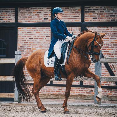 Dresser un cheval, c’est facile ! … il suffit …