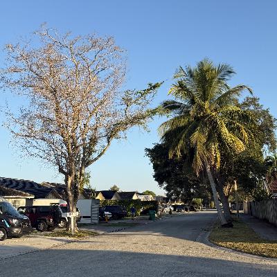 QUEMÓ EN PÚBLICO LOS EVANGELIOS (E1987) QUEMÓ EN PÚBLICO LOS EVANGELIOS (E1987)