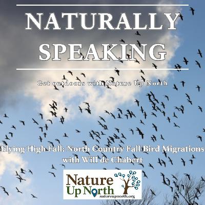 Flying High Fall: North Country Fall Bird Migrations
