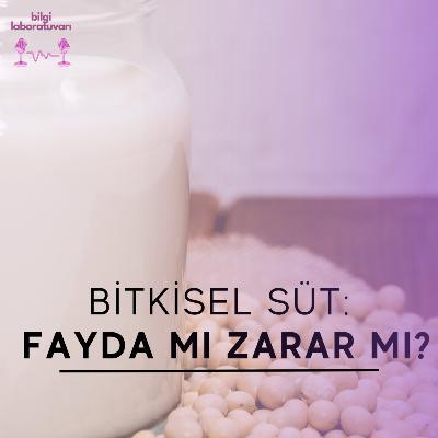 Bitkisel Süt: Fayda mı Zarar mı?