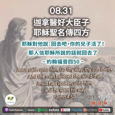 曠野嗎哪-迦拿醫好大臣子，耶穌聖名傳四方