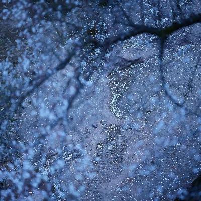 崔文子学仙：古代医者舍身救人，反倒被骂？