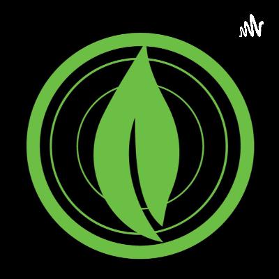 The Good Fight - Week 2