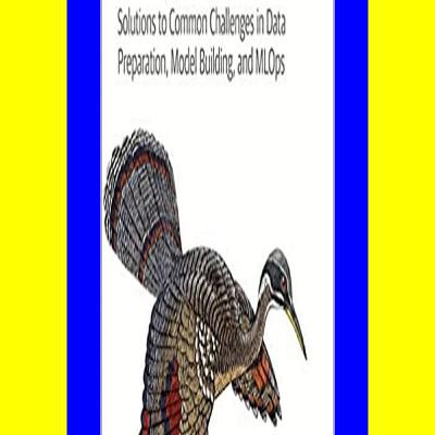 fr33 3PuuP Machine Learning Design Patterns Solutions to Common Challenges in Data Preparation  Model Building  and MLOps ZIP