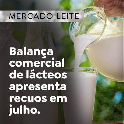Balança comercial de lácteos apresenta recuos em julho