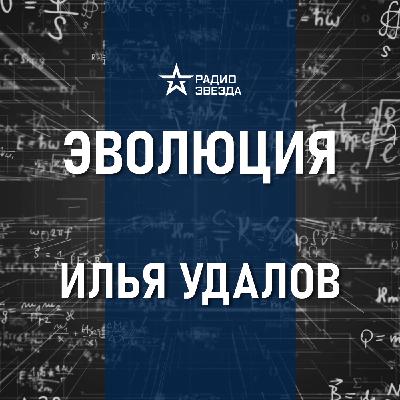 Почему птицы – это динозавры? Лекция биолога Ильи Удалова