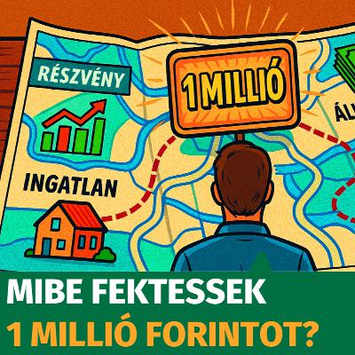 Mibe fektessek 1 millió forintot?