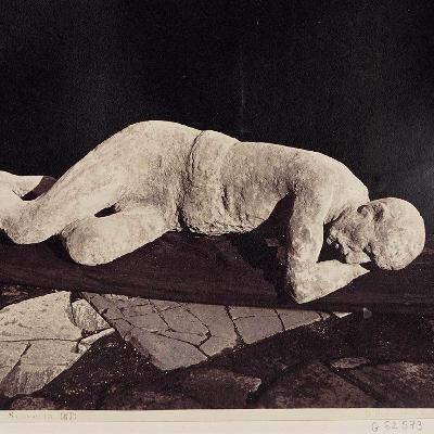 Dead Bodies: Bioarchaeology and Forensic Science, with Natalia Reagan