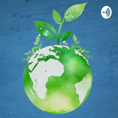 The No Excuses Direct Success Podcast The No Excuses Direct Success Podcast