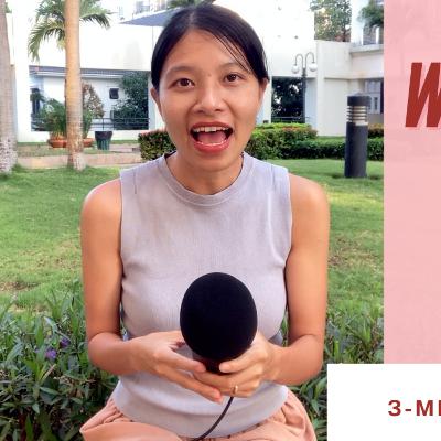 3-minute Vietnamese: What do I like about my job? | Job vocabulary