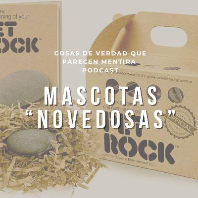 Mascotas Novedosas
