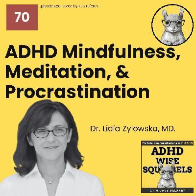 WS70 Mindfulness, Meditation, and Procrastination with Dr. Lidia Zylowska, MD. (Replay) WS70 Mindfulness, Meditation, and Procrastination with Dr. Lidia Zylowska, MD. (Replay)