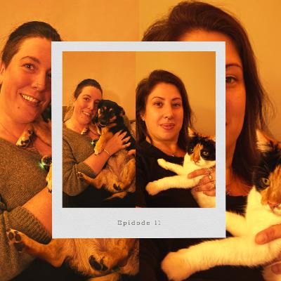 Nos Chattes et nos Chiennes 😺🐕