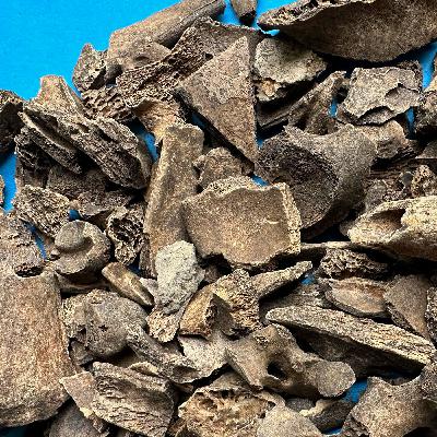 065 Vom Angraben, von Pegelverläufen und von Eicheln in Butterbrottüten