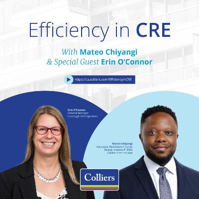 Thomas Cavanagh Construction: A Unique View on the Long and Red Taped Development Approval Process