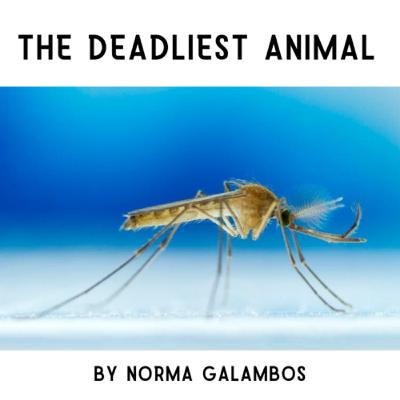 The Deadliest Animal