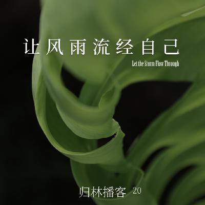 Vol.20｜像龟背竹那样，留出空隙，让风雨流经自己