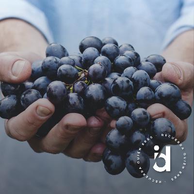 Caminos de sanación 3. El sufrimiento redentor Caminos de sanación 3. El sufrimiento redentor