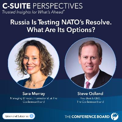 Russia Is Testing NATO’s Resolve. What Are Its Options?