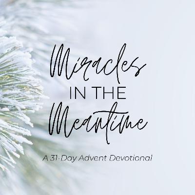 Advent Day 30 - Wonderful Counselor
