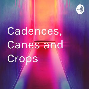 My Thoughts on General Hospital My Thoughts on General Hospital