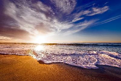 Ocean's Pictures