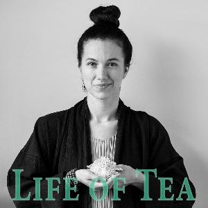 Walking The Talk: How To Live A More Sustainable Life