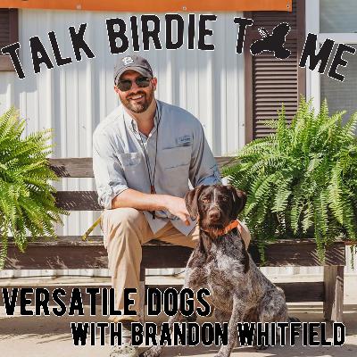14 | Versatile Dogs with Brandon Whitfield 14 | Versatile Dogs with Brandon Whitfield