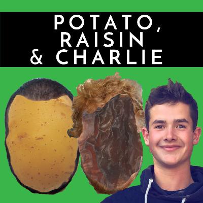 S1E2: Mr Bag's Tuna Balls