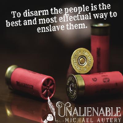 #19 - What does the 2nd Amendment Mean? #19 - What does the 2nd Amendment Mean?