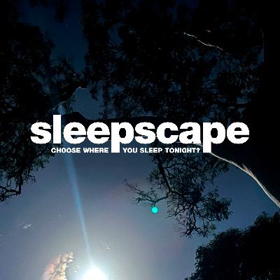 Introducing SleepScape Introducing SleepScape